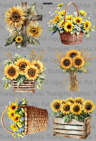 Sunflowers