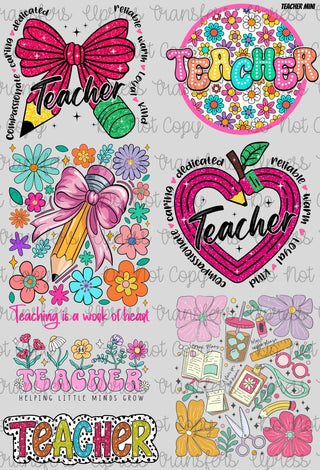 Teacher Mini